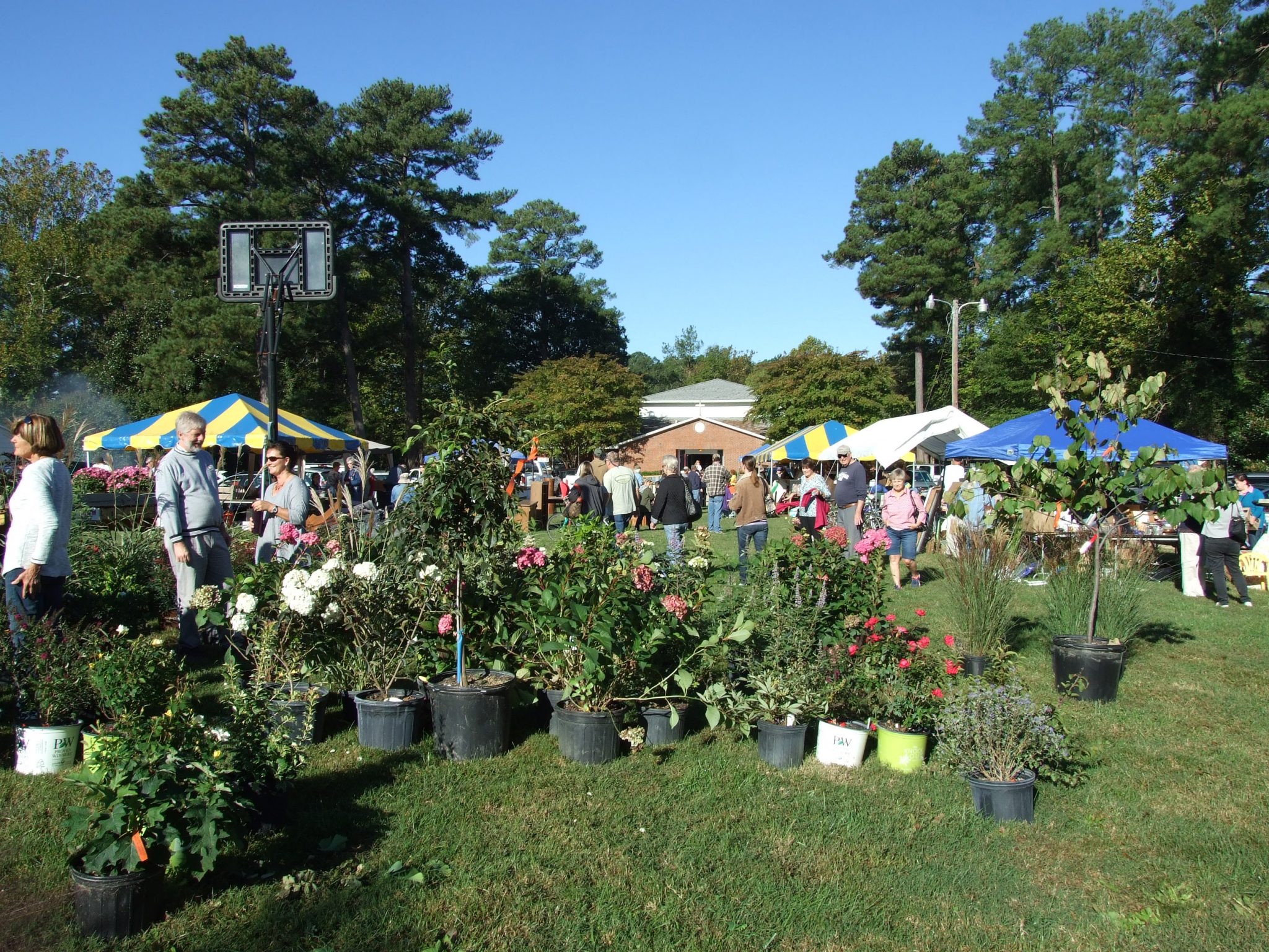 Kingston Fall Fair Gazette Journal