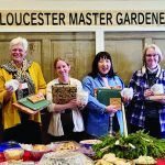 community master gardeners