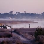 point morning fog