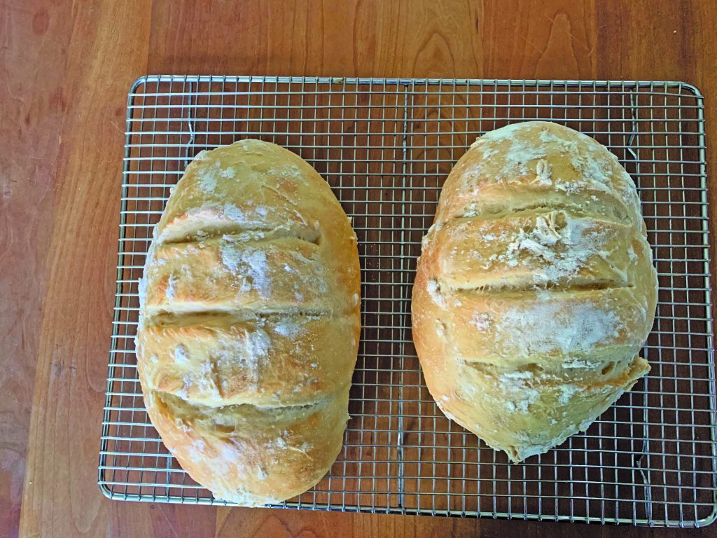 Loaves Of Bread Wrapped By A Towel by Stocksy Contributor Laura