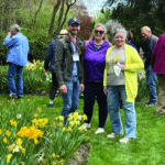 community daffodil convention