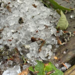 1a hailstones