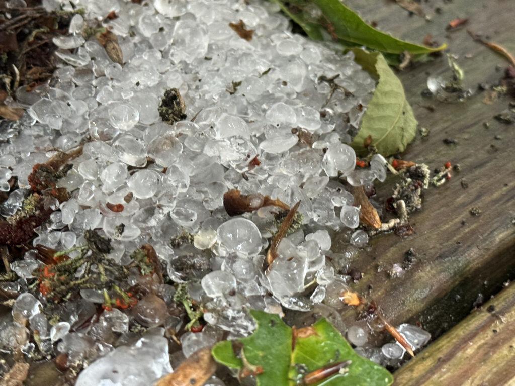 1a hailstones