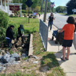 mathews library litter critters