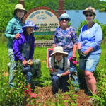 community master gardeners