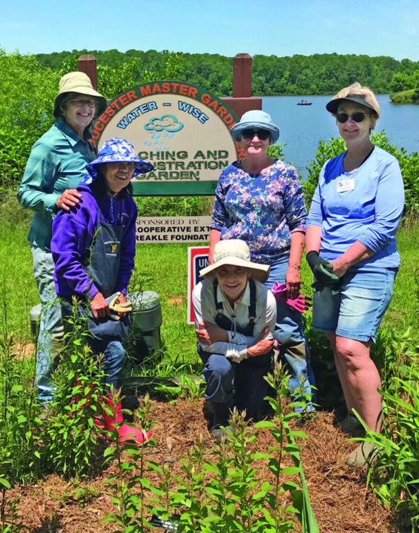 community master gardeners