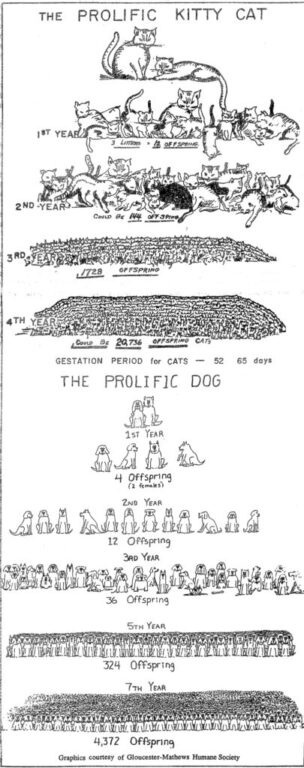 editi animal reproduction 4-4-1991