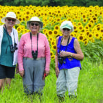 community butterfly counting