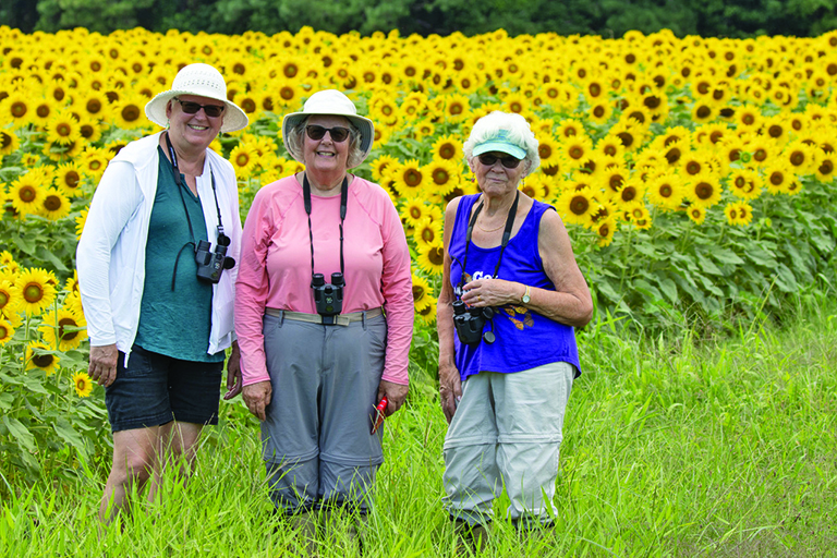 community butterfly counting