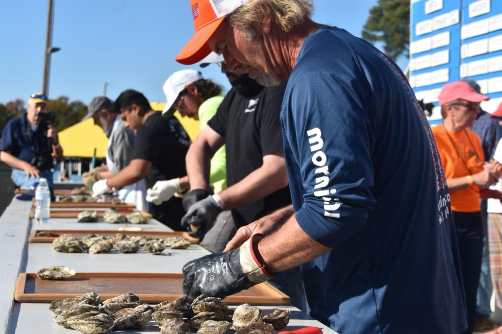 mathews oyster shucking