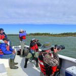 community bird watchers