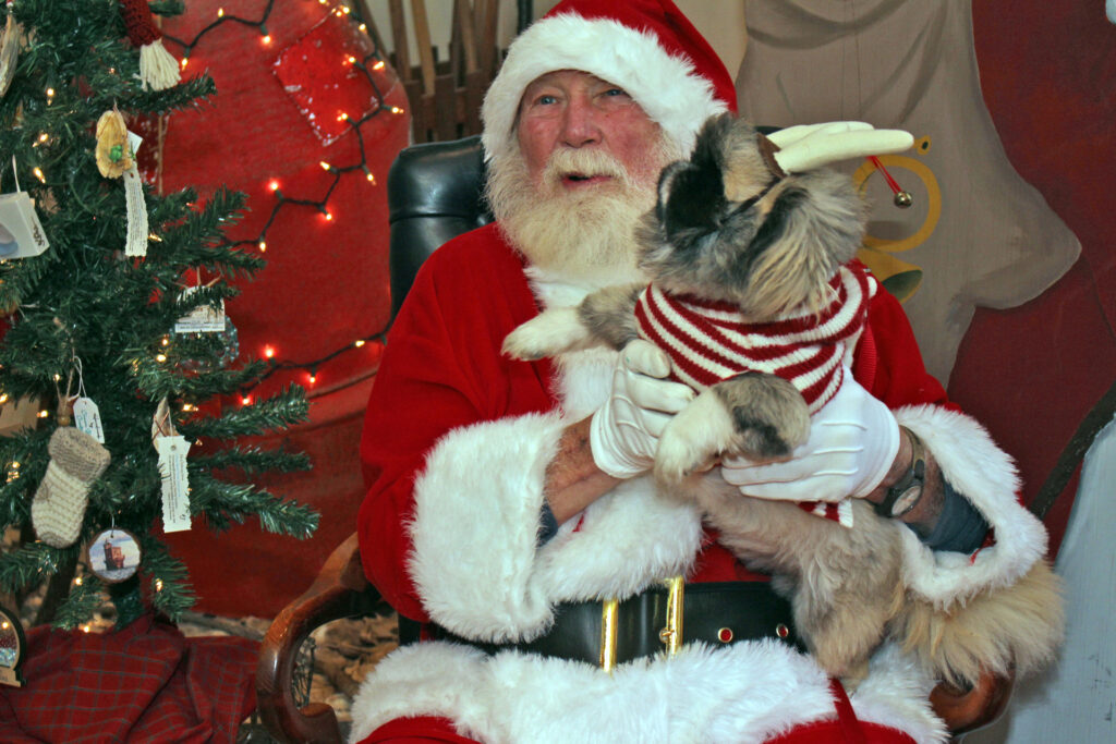 mathews santa Frank the Pekingese